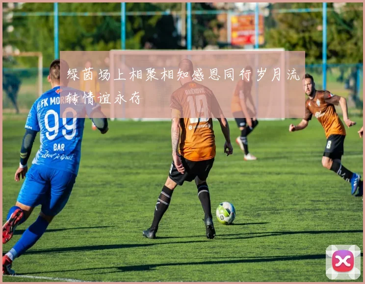 绿茵场上相聚相知感恩同行岁月流转情谊永存